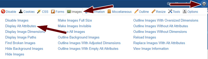 web developer tools option in images menu to display display alt attributes
